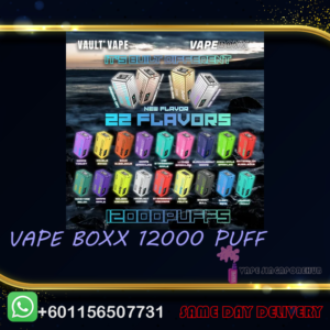 VAPEBOXX 12000 DISPOSABLE